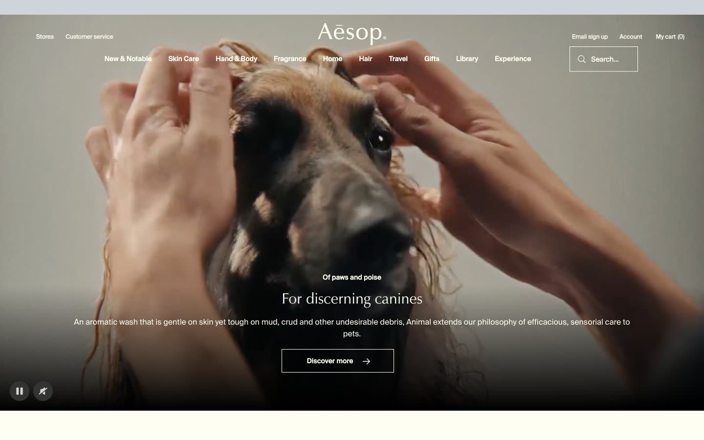 معاينة تصميم موقع Aesop