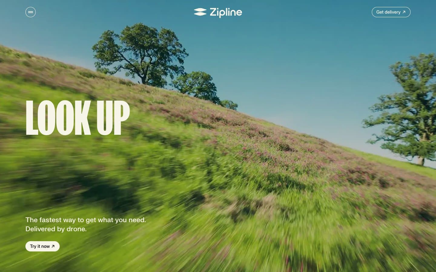 معاينة تصميم موقع Zipline