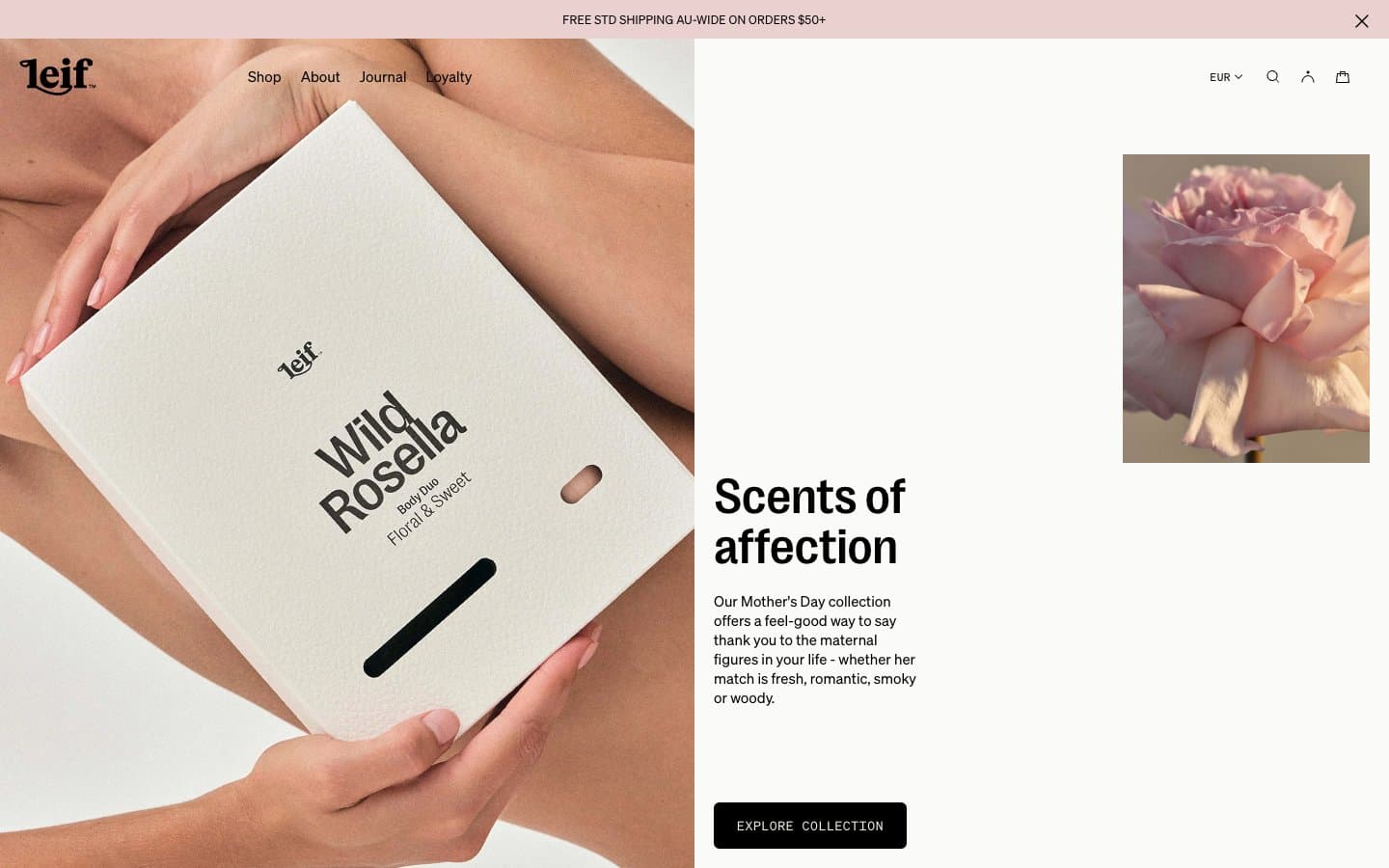 معاينة تصميم موقع Leif Products