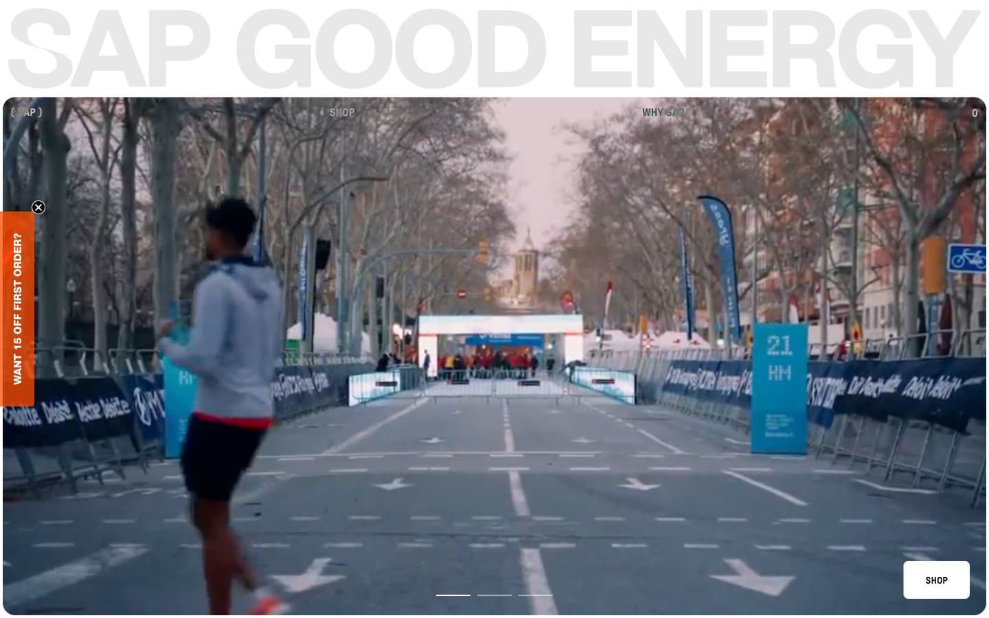 معاينة تصميم موقع SAPGOODENERGY