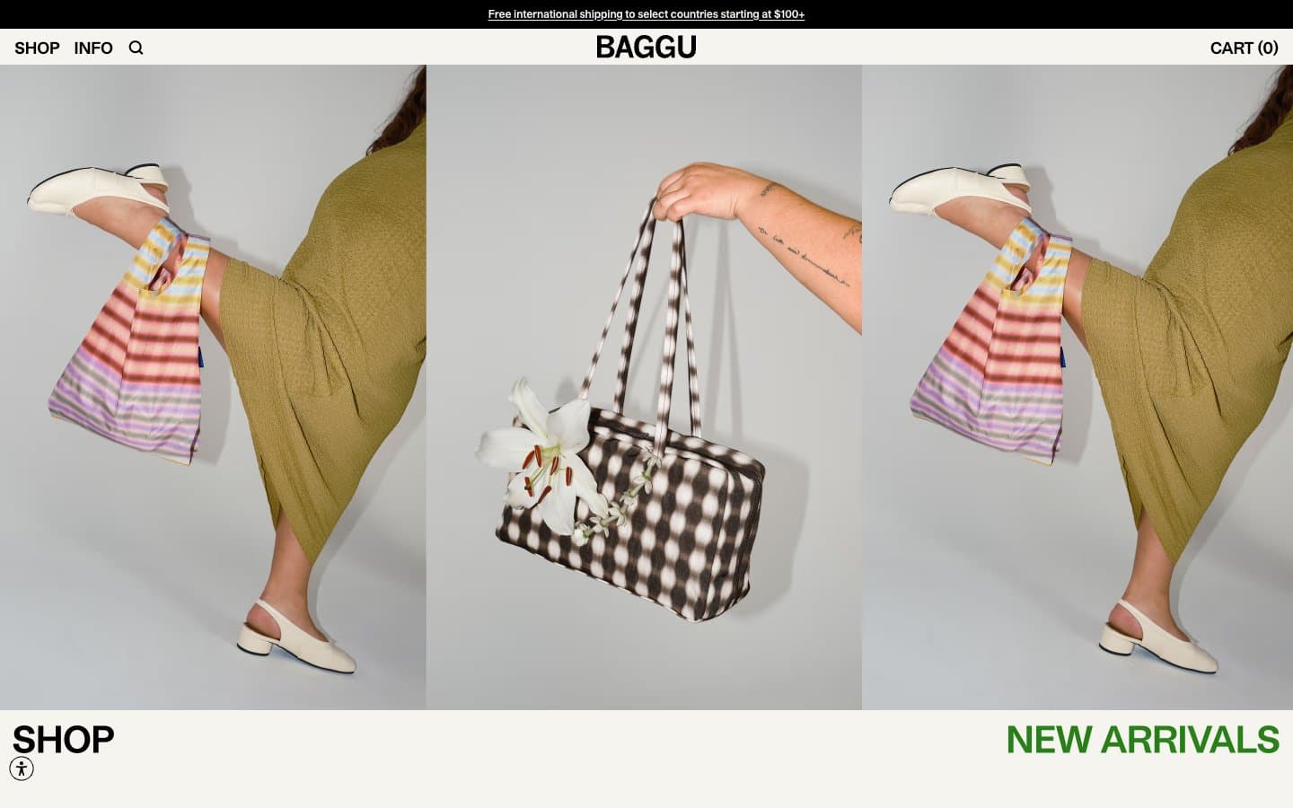 معاينة تصميم موقع Baggu