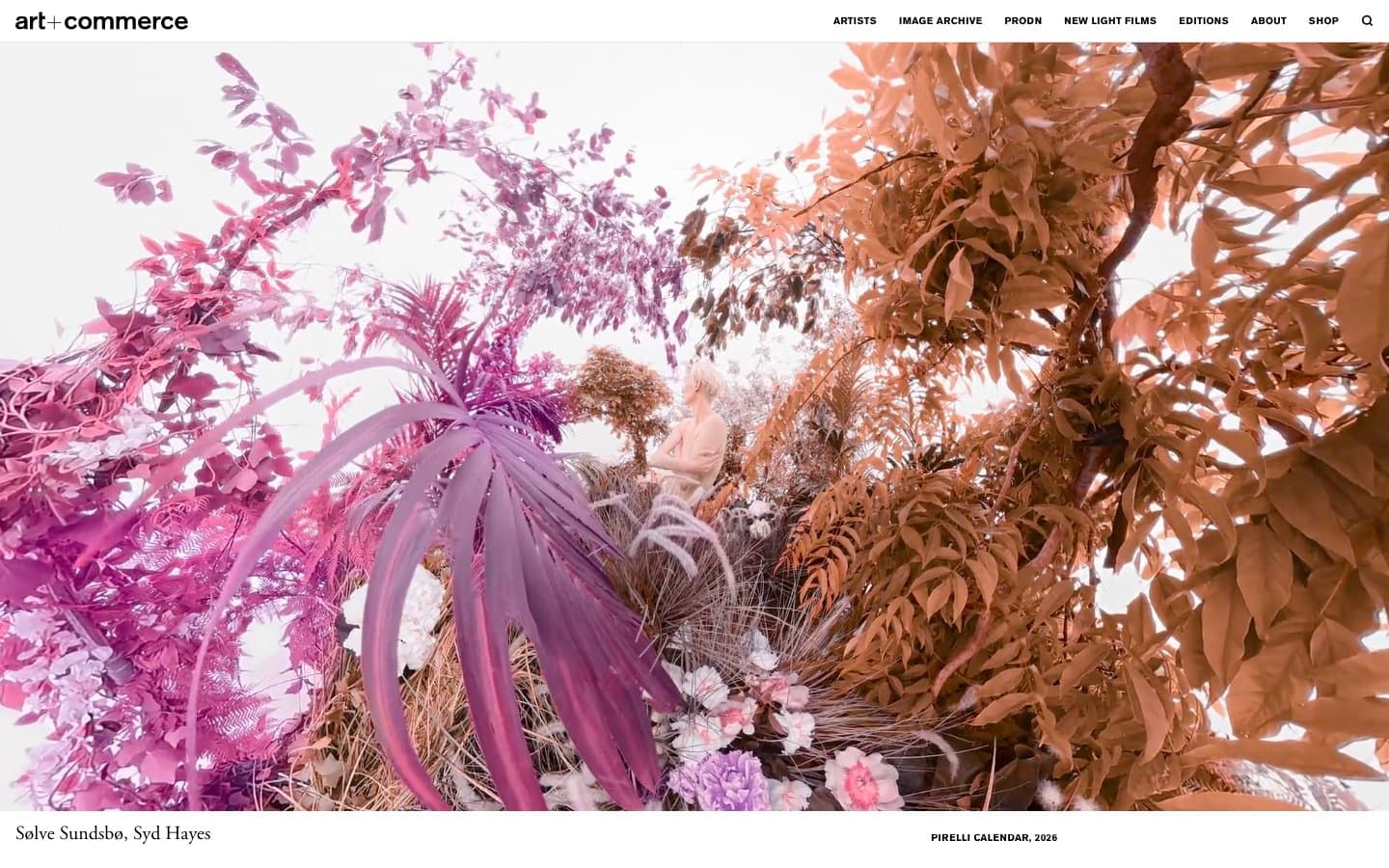 معاينة تصميم موقع Artandcommerce
