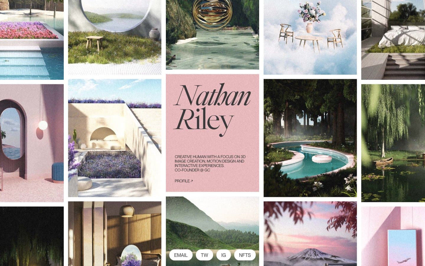 معاينة تصميم موقع Nathan Riley
