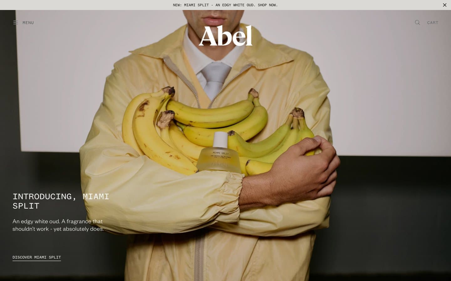 معاينة تصميم موقع Abel