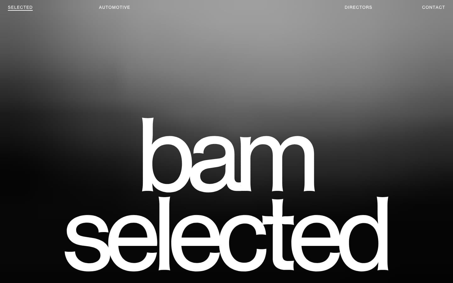 معاينة تصميم موقع BAM Photographers