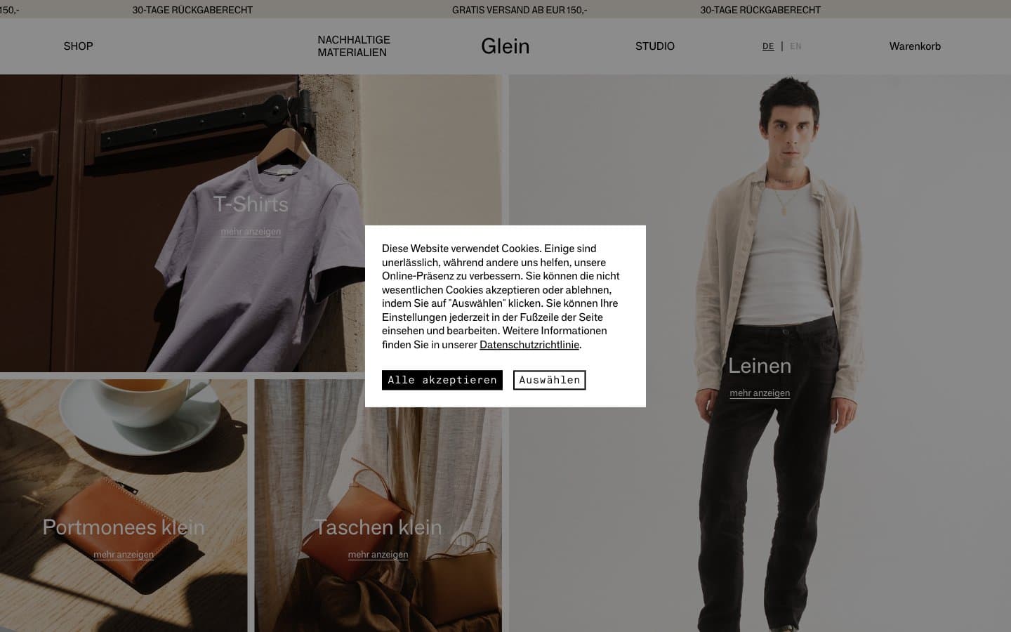 معاينة تصميم موقع Glein