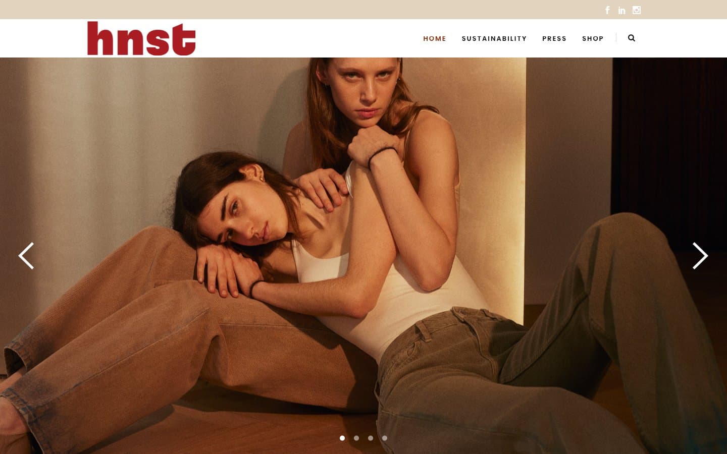 معاينة تصميم موقع HNST Studio