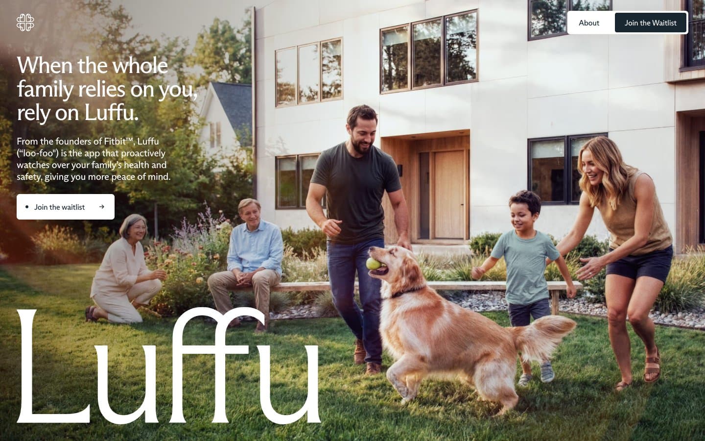 معاينة تصميم موقع Luffu
