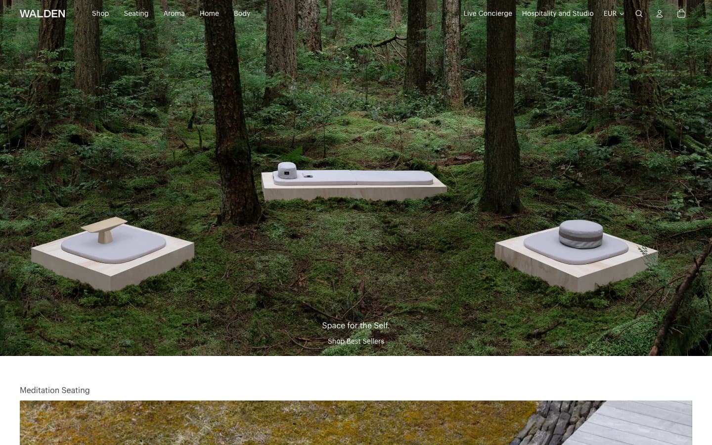 معاينة تصميم موقع Walden