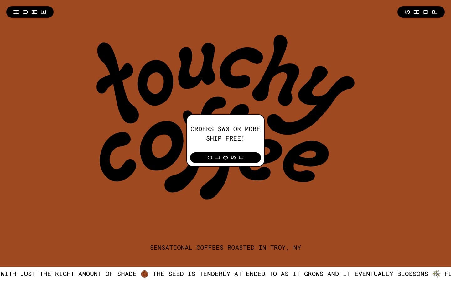 معاينة تصميم موقع Touchy Coffee