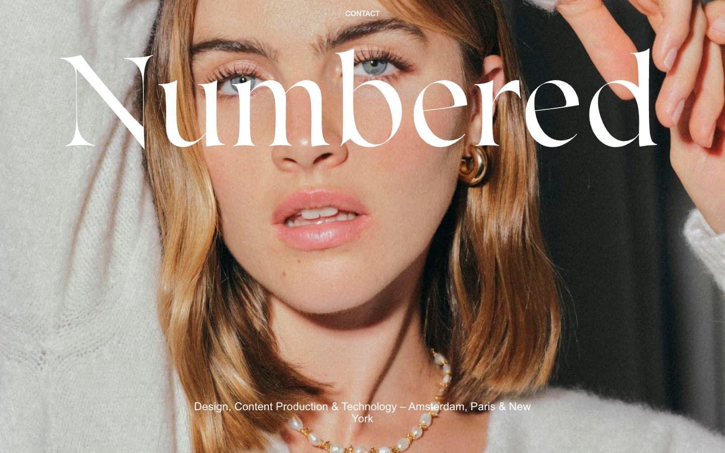 معاينة تصميم موقع Numbered