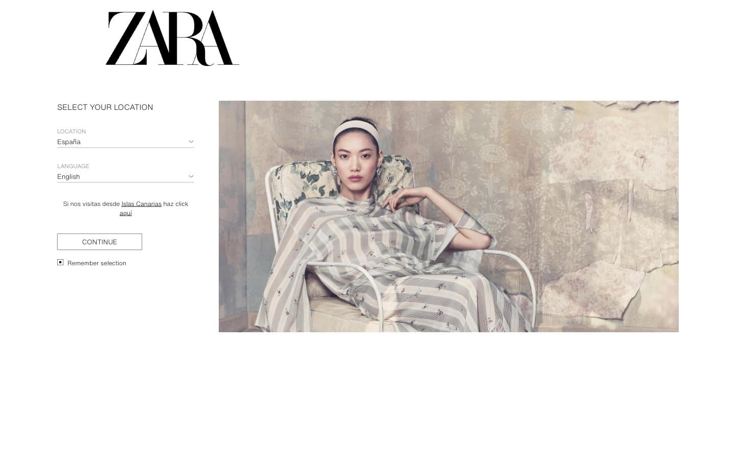معاينة تصميم موقع Zara