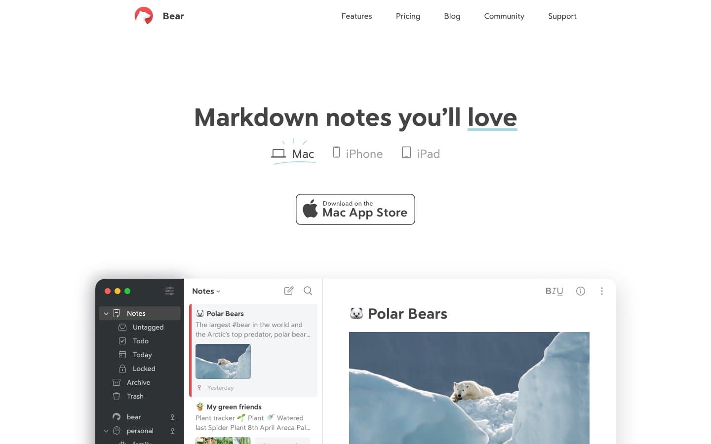 معاينة تصميم موقع Bear Markdown Notes