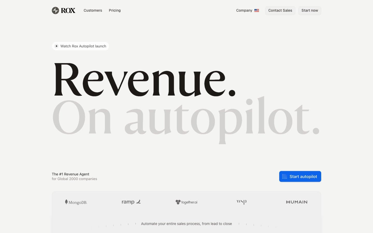 معاينة تصميم موقع Rox