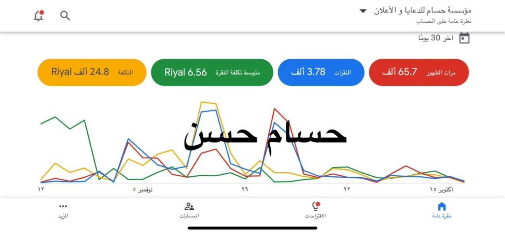 Google Ads budget optimization results and ROI statistics